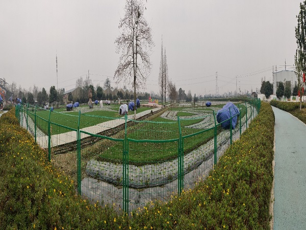 1582797894015097777.jpg 4.jpg