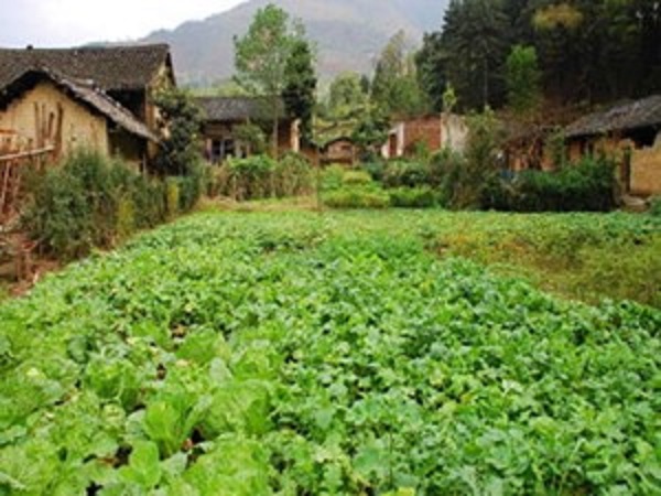 1606228760859010456.jpg 深沉的爱2.jpg