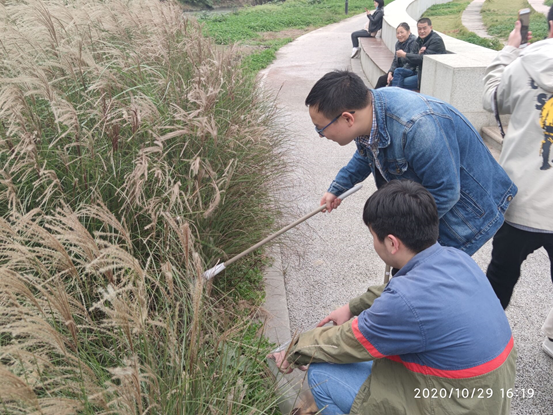 1604928105802029700.png image.png